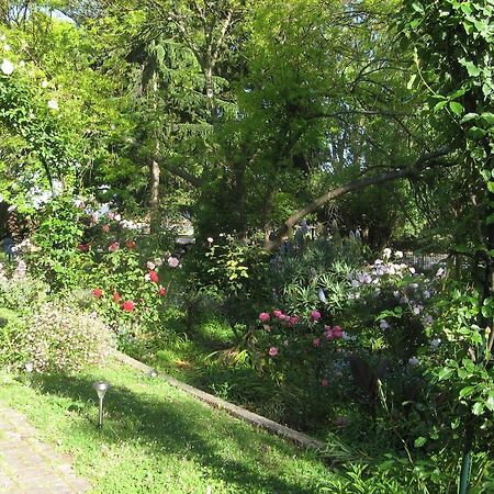 Westella Colonial B&B Accommodation Ulverstone Εξωτερικό φωτογραφία