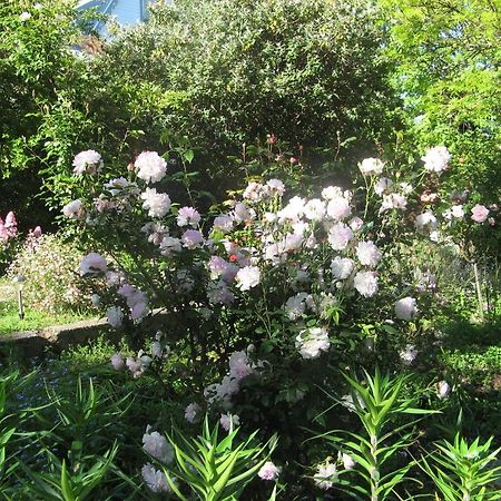 Westella Colonial B&B Accommodation Ulverstone Εξωτερικό φωτογραφία